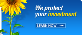 learn more